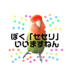 インコのセセリ♂5（個別スタンプ：32）
