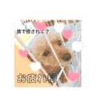 kさん家のくうたんのスタンプ（個別スタンプ：5）