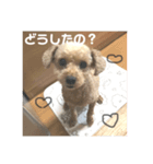 kさん家のくうたんのスタンプ（個別スタンプ：6）