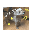 kさん家のくうたんのスタンプ（個別スタンプ：7）