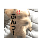 kさん家のくうたんのスタンプ（個別スタンプ：8）