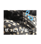 うちんちのねこ（個別スタンプ：14）
