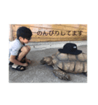 たろーず（個別スタンプ：3）