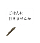 煮干し達（個別スタンプ：5）