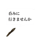 煮干し達（個別スタンプ：8）