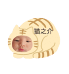 虎之介の毎日その2（個別スタンプ：3）