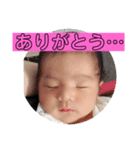 虎之介の毎日その2（個別スタンプ：7）