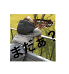 ハイ！キッズ（個別スタンプ：8）
