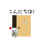 隙間犬ペロペロ（個別スタンプ：2）