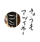 気持ちを考えてみました（個別スタンプ：8）