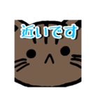 ツンツン猫さん（個別スタンプ：5）