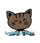 ツンツン猫さん（個別スタンプ：8）