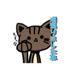 ツンツン猫さん（個別スタンプ：11）