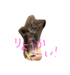 にゃんこ×日常（個別スタンプ：6）
