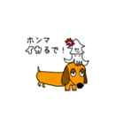 ラブリーダックスフンド キング（個別スタンプ：5）