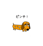 ラブリーダックスフンド キング（個別スタンプ：6）