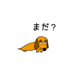 ラブリーダックスフンド キング（個別スタンプ：14）