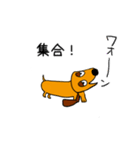 ラブリーダックスフンド キング（個別スタンプ：19）