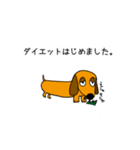 ラブリーダックスフンド キング（個別スタンプ：27）