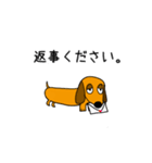 ラブリーダックスフンド キング（個別スタンプ：31）