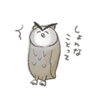 かわいい動物ゆるスタンプ（個別スタンプ：23）