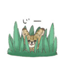 かわいい動物ゆるスタンプ（個別スタンプ：27）