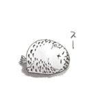 かわいい動物ゆるスタンプ（個別スタンプ：28）