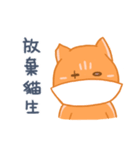 オレンジ独眼ネコ（個別スタンプ：35）