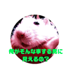 ファンシーラット5（個別スタンプ：7）