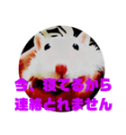 ファンシーラット5（個別スタンプ：10）