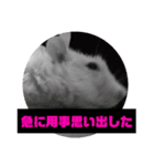 ファンシーラット5（個別スタンプ：11）
