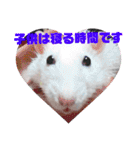 ファンシーラット5（個別スタンプ：12）
