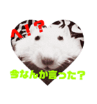 ファンシーラット5（個別スタンプ：13）