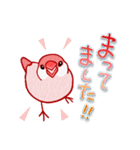 ピンク文鳥＊返信用（個別スタンプ：23）