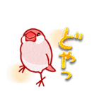 ピンク文鳥＊返信用（個別スタンプ：30）