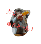 そいれい（個別スタンプ：11）