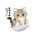 かわいい猫 NANG（個別スタンプ：1）