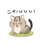 かわいい猫 NANG（個別スタンプ：3）