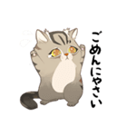 かわいい猫 NANG（個別スタンプ：5）