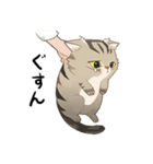 かわいい猫 NANG（個別スタンプ：6）