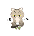 かわいい猫 NANG（個別スタンプ：9）