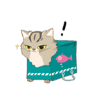 かわいい猫 NANG（個別スタンプ：12）