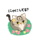 かわいい猫 NANG（個別スタンプ：16）