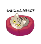 かわいい猫 NANG（個別スタンプ：18）