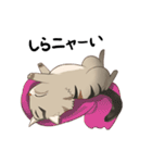かわいい猫 NANG（個別スタンプ：21）