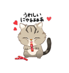 かわいい猫 NANG（個別スタンプ：22）