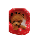 くおん（個別スタンプ：1）