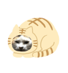 がんばるニャン（個別スタンプ：7）