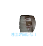 フェレットですよ（個別スタンプ：7）