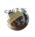 ちくわとしじみ（個別スタンプ：2）